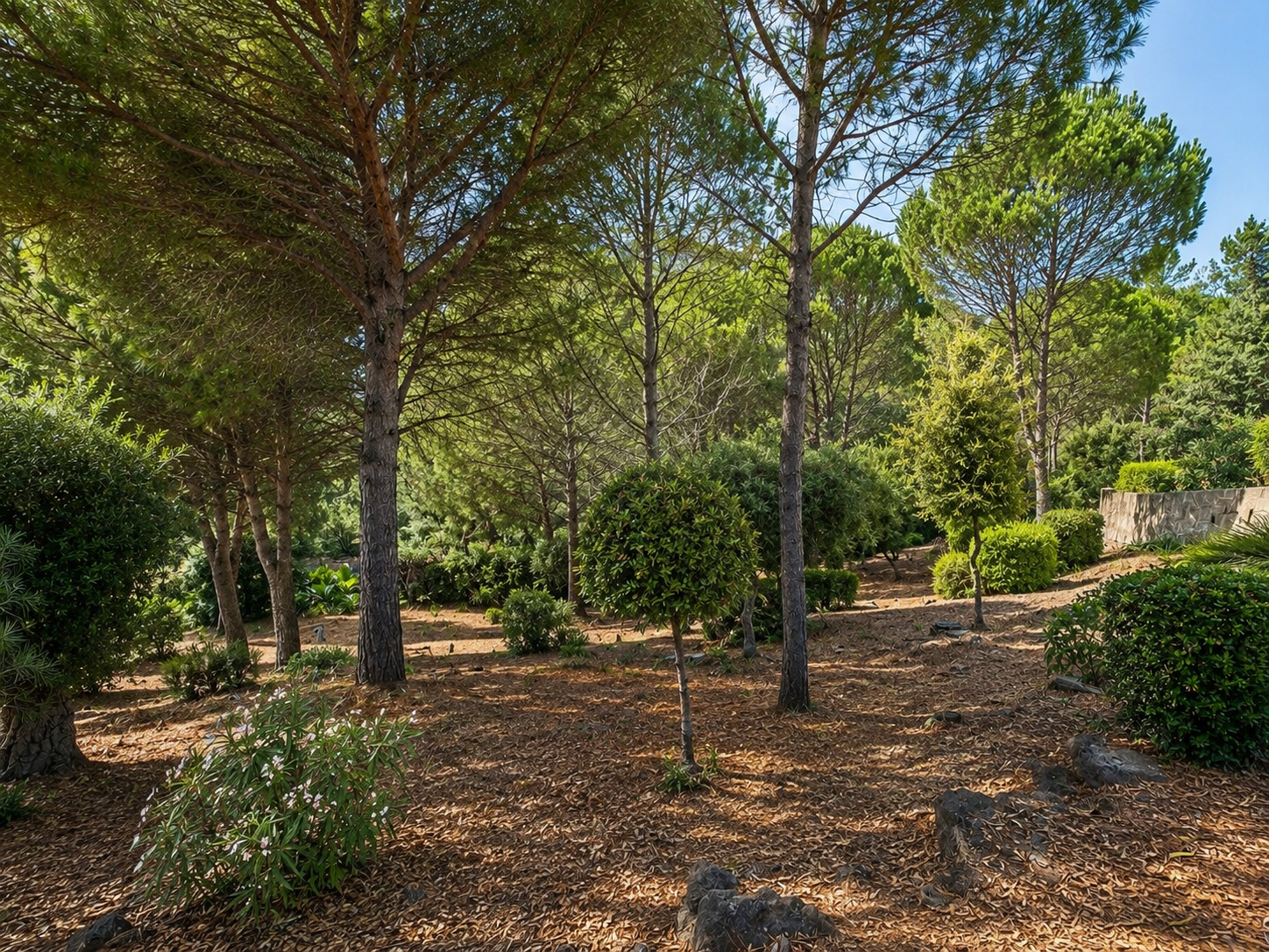 villa 2 chambres à Sainte Maxime Domaine de la Nartelle – Image 2