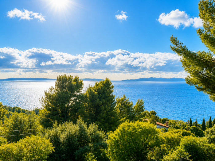 Propriété 6 pièces à vendre Le Lavandou Aiguebelle vue mer panoramique