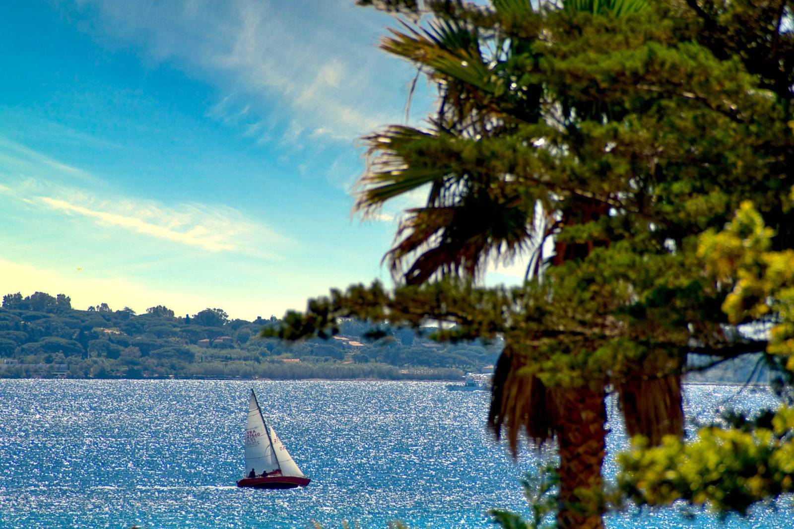 Villa de plain-pied à vendre avec vue mer proche des plages à Grimaud Guerrevieille – Image 2