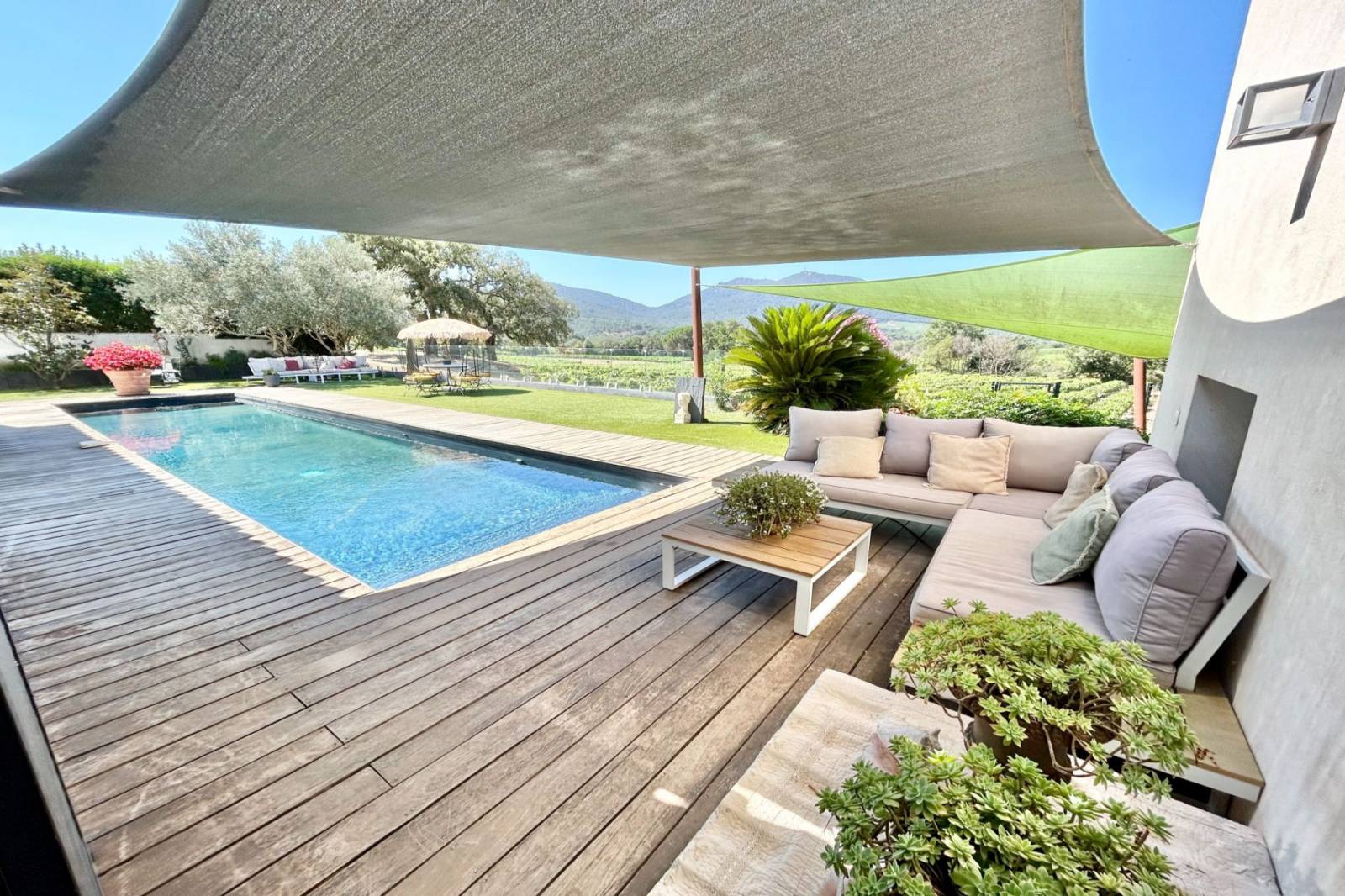 Villa contemporaine à vendre au Plan de la Tour au milieu des vignes au calme absolu – Image 4