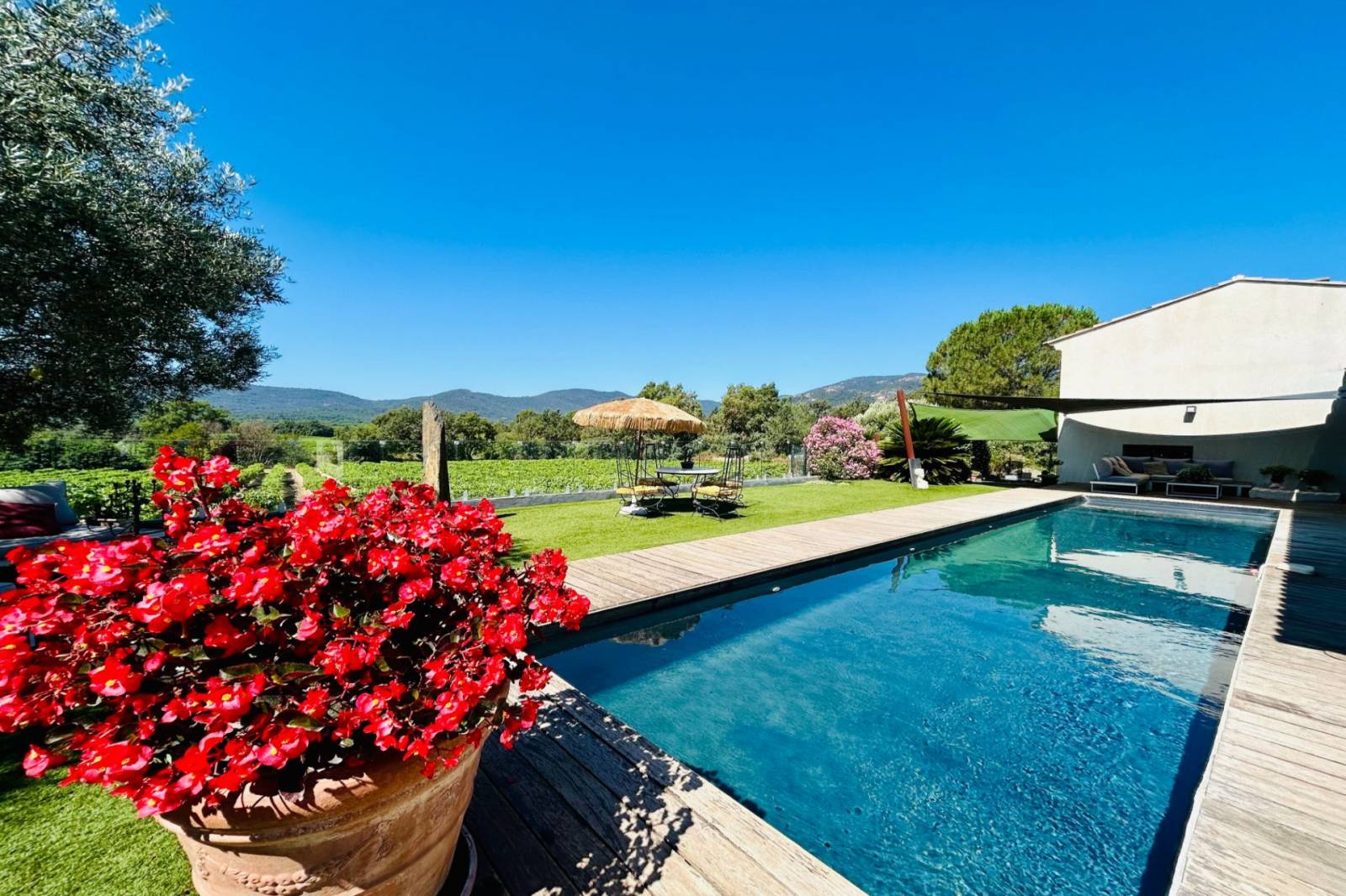 Villa contemporaine à vendre au Plan de la Tour au milieu des vignes au calme absolu