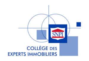 Collège des Experts Immobiliers SNPI : Logo Officiel Logo Collège des Experts Immobiliers SNPI avec formes géométriques bleues et icône de temple rouge.